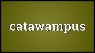 Catawampus Meaning [upl. by Ntisuj320]