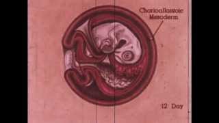 Development of the Chick Extra Embryonic Membranes [upl. by Etnaed]