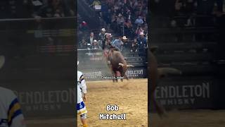 Bob Mitchell at the PBr Teams Finals in 2022 cowboy rodeo pbr [upl. by Hieronymus79]