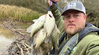 Ill Be DAM 🦫 Creek CRAPPIE Fishing With Jig amp Bobber‼️CRAPPIE Fishing 2024‼️ [upl. by Range]