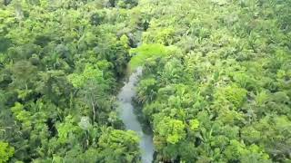 Our Caves Branch Jungle Property in Belize [upl. by Steve377]