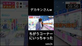 クレンゲームでどっちがヒカキンぬいぐるみを取れるのか企画だったのにデカキンはお菓子コーナーにいっちゃう [upl. by Jeromy]