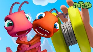 YoYo  1 Hour Antiks Full Episodes  Funny Insect Cartoons for Kids [upl. by Neelik]