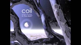 Coil  Musick to Play in the Dark Vol 2 Full Album [upl. by Nona]