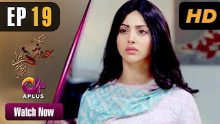 Pakistani Drama Kyunke Ishq Baraye Farokht Nahi  EP 19  Aplus  Junaid Khan Moomal  C3N1 [upl. by Nibot]