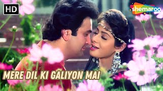 Mere Dil Ki Galiyon Mai  Banjaran 1991  Sridevi Rishi Kapoor  Alka Yagnik Hit Songs [upl. by Kokoruda]