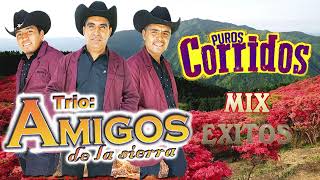 Los Amigos de la sierra 🎶Las Mejores Canciones💽 Exitos De Oro [upl. by Carey483]