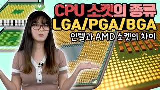 CPU 소켓의 종류  LGA PGA BGA가 대체 뭐야 브로리퀘스트 [upl. by Whittaker335]