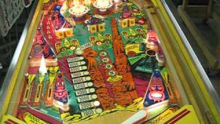 Gottlieb Totem Pinball [upl. by Platto1]