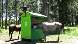 Automatic horse feeder [upl. by Larual]