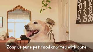 Zooplus pure pet food crafted with care [upl. by Libbna]