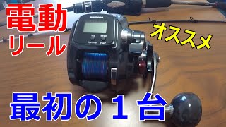 初めての電動リールにはプレイズ６００が最適！！～東京湾の釣りはこれ１個で色々使えます！ [upl. by Mcnally]