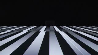 Ryoji Ikeda  test pattern N°12 at Store Studios [upl. by Ellivro]