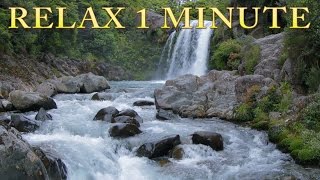 Relax 1 min  Waterfall  Relaxing Nature Sounds [upl. by Aubree]