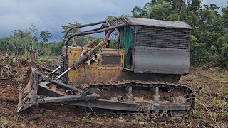 Trator De Esteira Komatsu D65 Enleirando [upl. by Zacks]