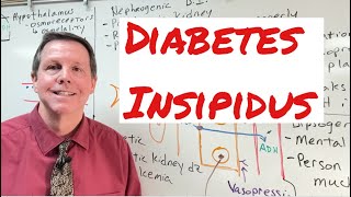 Diabetes Insipidus [upl. by Supmart]