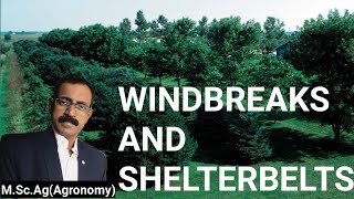 WINDBREAKS AND SHELTERBELTS [upl. by Etnaled]