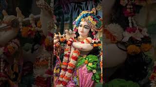 Tumhen dekhi hun jeete rahehareramaharekrishna radheshyam radharani bakebihariji song [upl. by Onifled294]