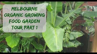 Melbourne organic food garden tour part 1 [upl. by Kati]