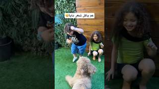 مين خاف من التاني ؟ الكلب أو نايا و علي😅 shortvideo viralvideo explorepage [upl. by Penrose]