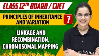 Principles of Inheritance And Variation 07  Linkage and Recombination  Class 12thCUET [upl. by Lewiss]