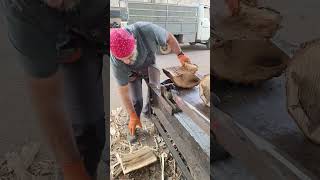 firewoodbusiness hardwood дровакол woodsplitter woodworking holzbearbeitung madera [upl. by Suhpoelc340]