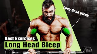 BEST LONG HEAD BICEP EXERCISES FOR MASSIVE ARMS [upl. by Iadrahs]