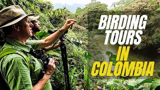 Find the Best BIRDING TOURS in COLOMBIA [upl. by Nahgem96]