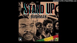 Bushman Stand Up [upl. by Chrisse576]