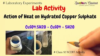 Action of heat on Hydrated Copper Sulphate NCERT Class 10 Lab Activity [upl. by Annahgiel]