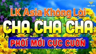 LK Cha Cha Cha Music 2024 Phối Mới Cực Cuốn  Hoà Tấu Cha Cha Cha Band 2024►Asia Golden Cha Cha Cha [upl. by Obellia]