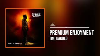 Timi Dakolo  Premium Enjoyment Official Audio [upl. by Ardnak]