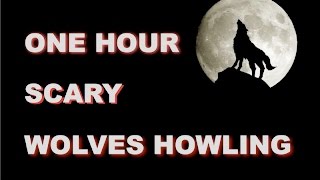 Wolves Howling Sounds  One Hour  HQ [upl. by Eiramasil]