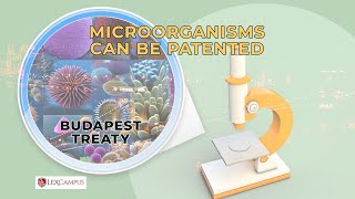 Microorganisms  Can be Patented [upl. by Elum]