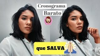 Cronograma capilar baratinho  O quê comprar [upl. by Anrat]