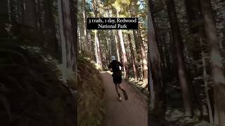 3 trails 1 day Redwood National Park 🌲 trailrunning hikingtrail nationalpark redwoods [upl. by Seftton340]