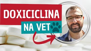 Você conhece as características da DOXICICLINA na Veterinária [upl. by Yelrak555]