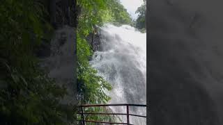 Kanjirakoli iritty  kerala waterfalls iritty kerala [upl. by Aldwon]