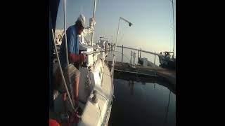 BIG FISH FLORIDA STYLE DRAG PULLER ROD BENDING FISH [upl. by Myles636]