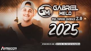 GABRIEL MELO  PRA TOMAR CACHAÇA 20  REPERTÓRIO ATUALIZADO  MÚSICAS NOVAS  2025 CD COMPLETO [upl. by Esorlatsyrc350]