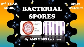 Bacterial Spores Bacterial Morphology General Microbiology MBBS 2nd Year [upl. by Arnulfo216]