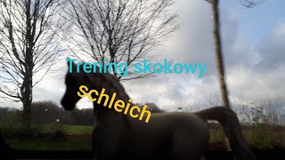 Trening skokowy schleih [upl. by Edeline]