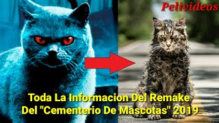 Toda La Informacion Del Remake De quotCementerio De Mascotasquot 2019 [upl. by Laemaj]