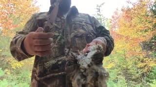 Ruffed Grouse Hunting amp Truck Camping My BEST Grouse Hunt Filmed to Date Part 1 [upl. by Trudy697]