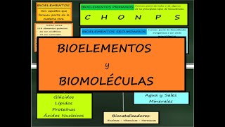 Bioelementos y Biomoléculas Principios Inmediatos BIOQUÍMICA ESTRICTURAL [upl. by Hirschfeld669]