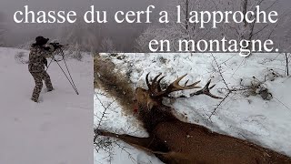 chasse a l approche du cerf en montagne [upl. by Laval]