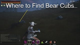 Conan Exiles Isle of Siptah Baby Bear Cubs [upl. by Yenterb]