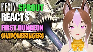 Sprout Reacts to first Shadowbringers dungeon  Holminster Switch FF14 [upl. by Wolpert]