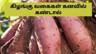 கிழங்கு வகைகள் கனவில் வந்தால் l If yam varieties come in dream l kilangu vagaigal kanavil vanthal [upl. by Attebasile]