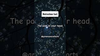 The past in your headfacts trending shorts shortsfeed success motivation yt [upl. by Enaek]